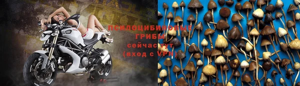 прущий лед Липки