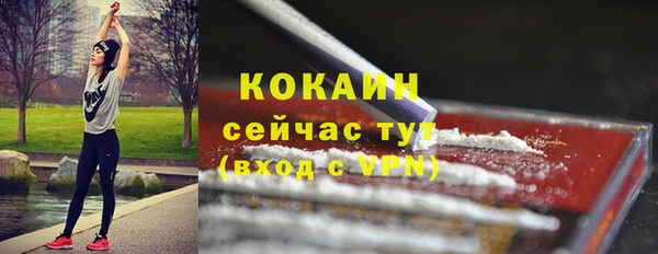 молекула духа Лихославль