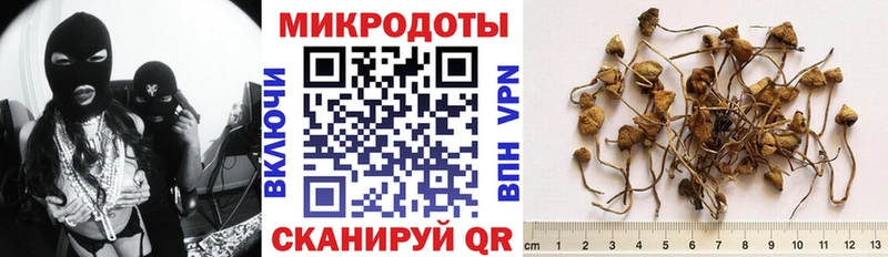 даркнет сайт  Троицк  Галлюциногенные грибы GOLDEN TEACHER 