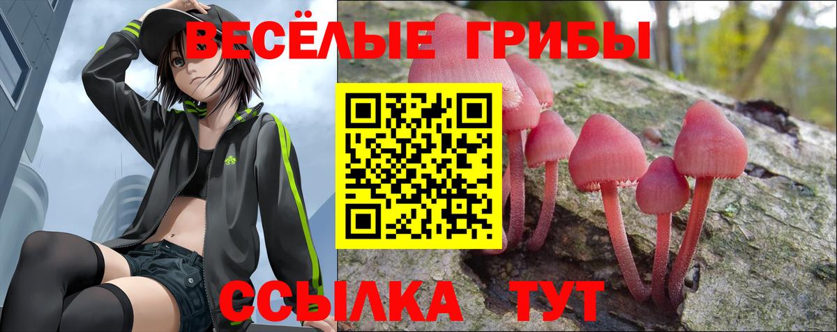 Псилоцибиновые грибы MAGIC MUSHROOMS  Вход с VPN  Троицк 