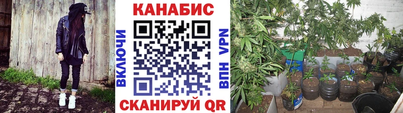 наркота  Троицк  Каннабис тримм 